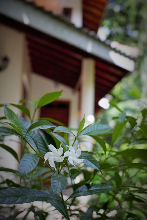 Binara Home Stay Polonnaruwa Zewnętrze zdjęcie
