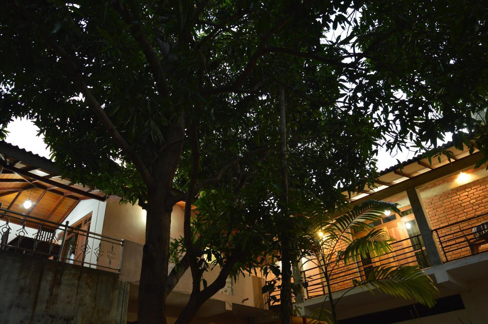Binara Home Stay Polonnaruwa Zewnętrze zdjęcie