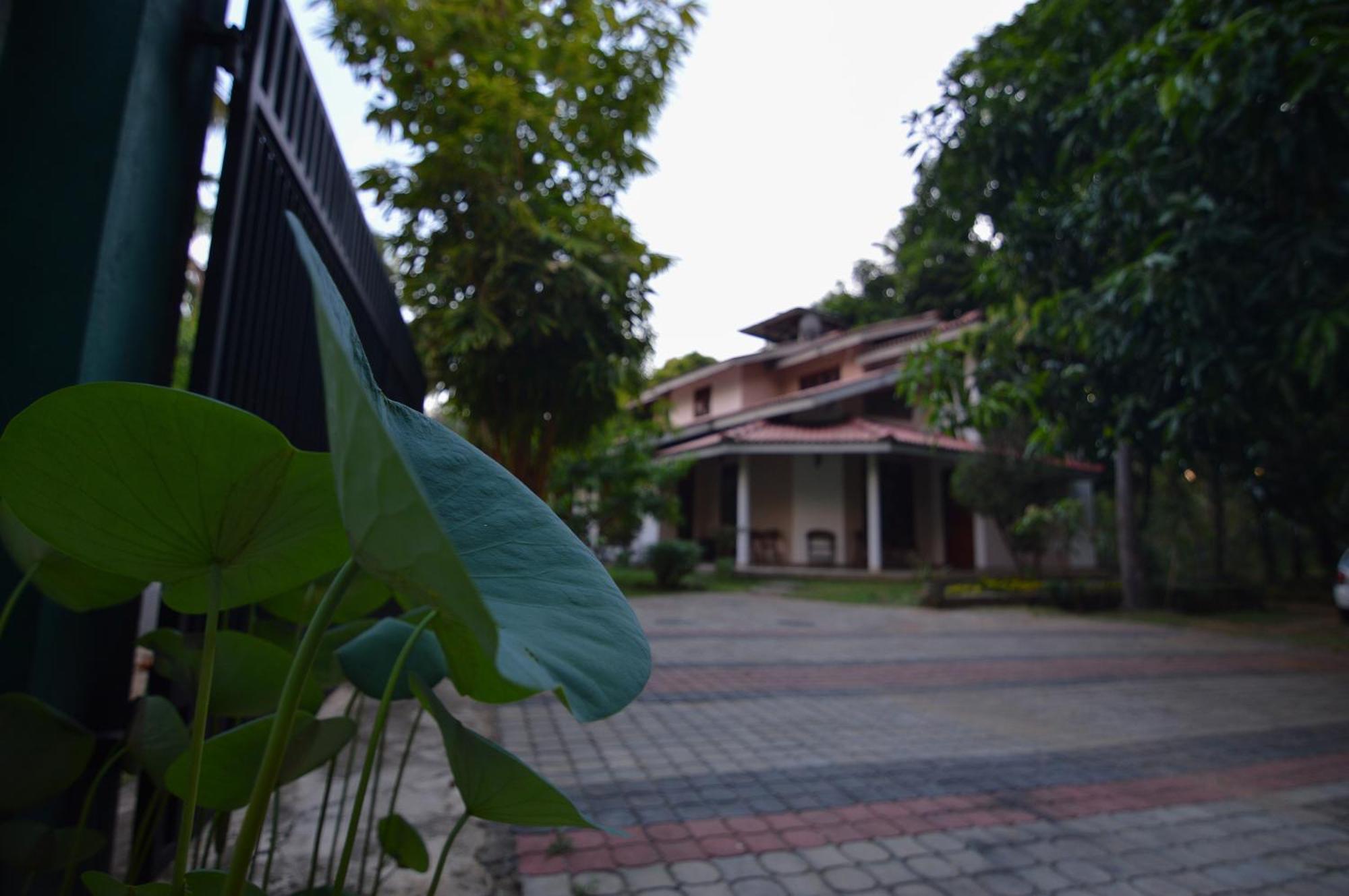 Binara Home Stay Polonnaruwa Zewnętrze zdjęcie