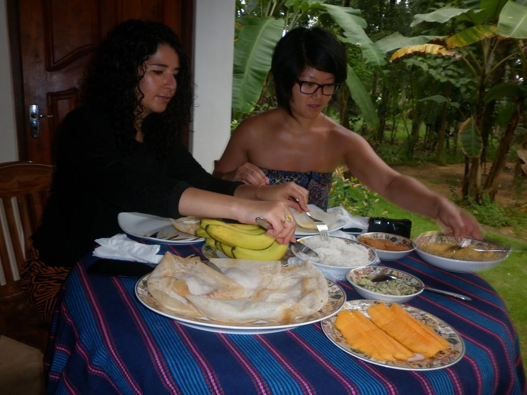 Binara Home Stay Polonnaruwa Zewnętrze zdjęcie